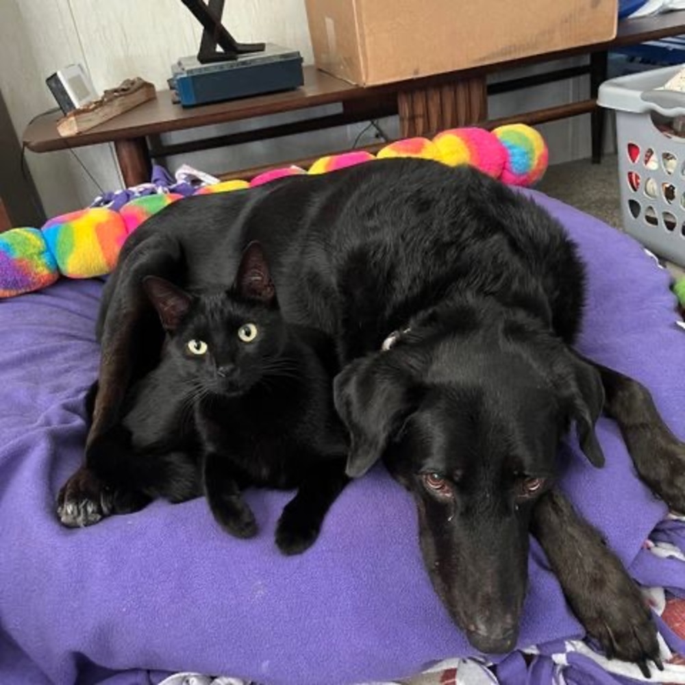 Meet your Posher, Jen